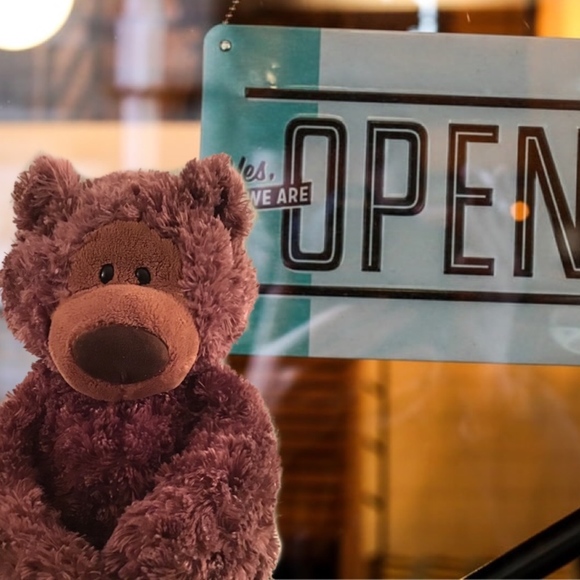 Meet your Posher, Teddy - Picture 1 of 1